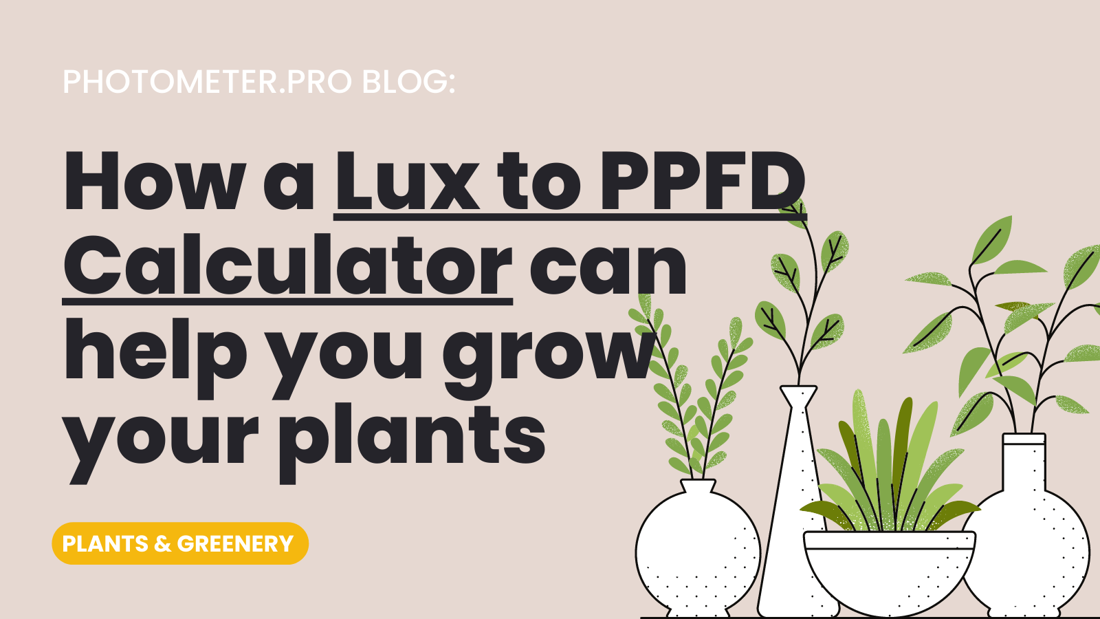 tolerancia estornudar Trueno How a Lux to PPFD Calculator Can Help You Grow Your Plants